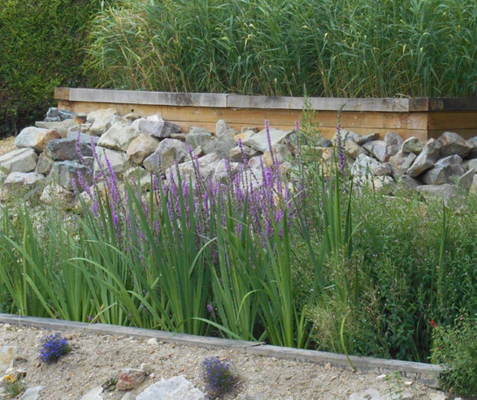 ALCEA Eco-paysage - photo 4